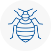 Bed Bug Extermination In Aldridge