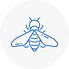 Bee Nest Removal Aldridge