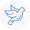 Bird Prevention Aldridge