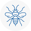Aldridge Hornet Nest Removals