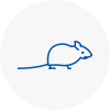 Mice Exterminators In Aldridge