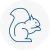Aldridge Rodent Removals