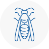 Aldridge Wasp Nest Removal